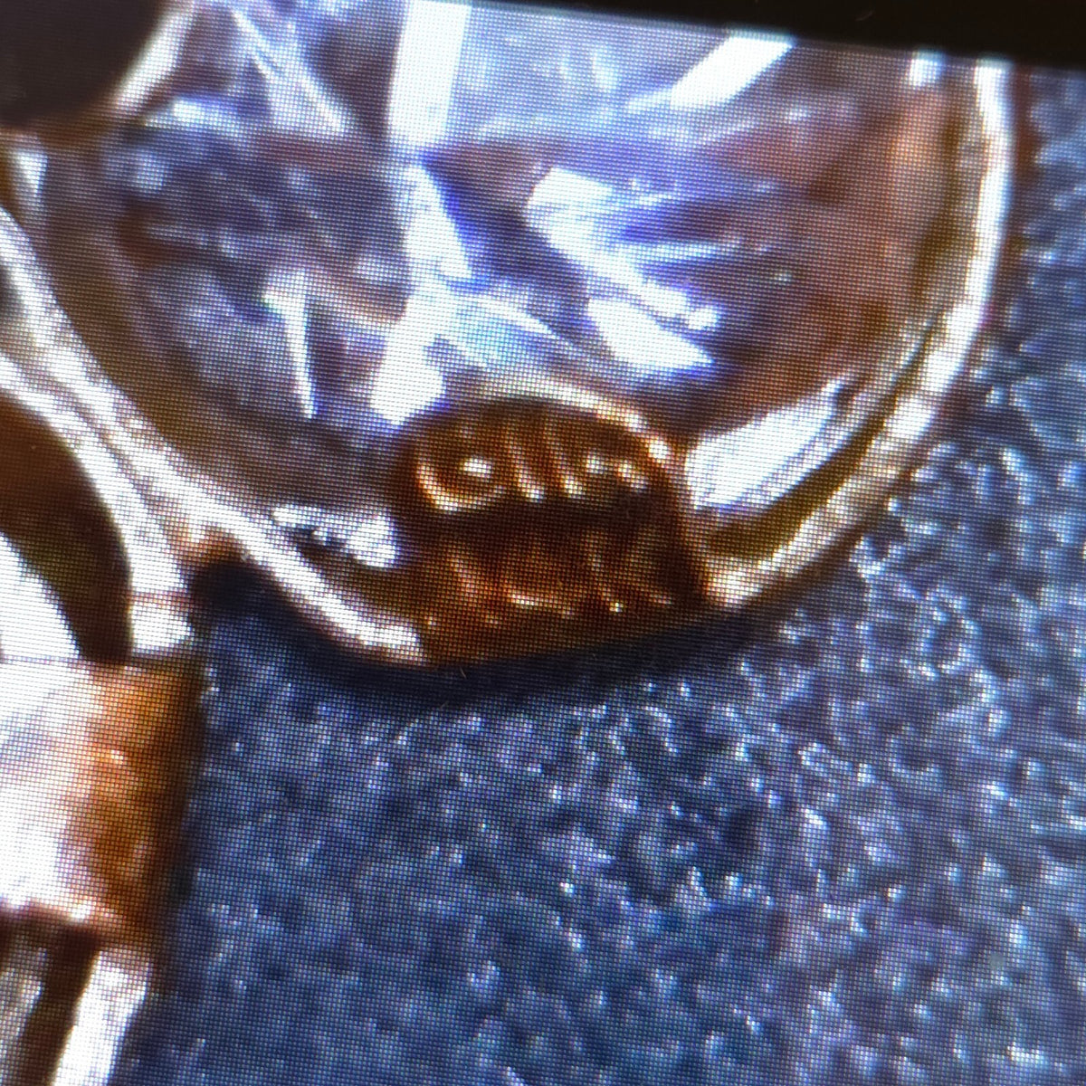 Vintage 14K Gold 3/4" Birthstone Child Pendant - November