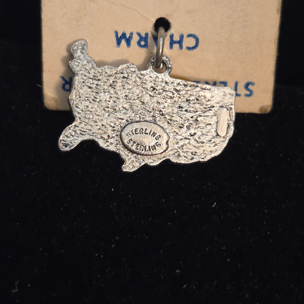 Vintage Sterling Silver USA Charm - Original Display Card